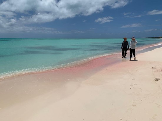 Photo: Barbuda Pink Sand Beach, N. Blazier