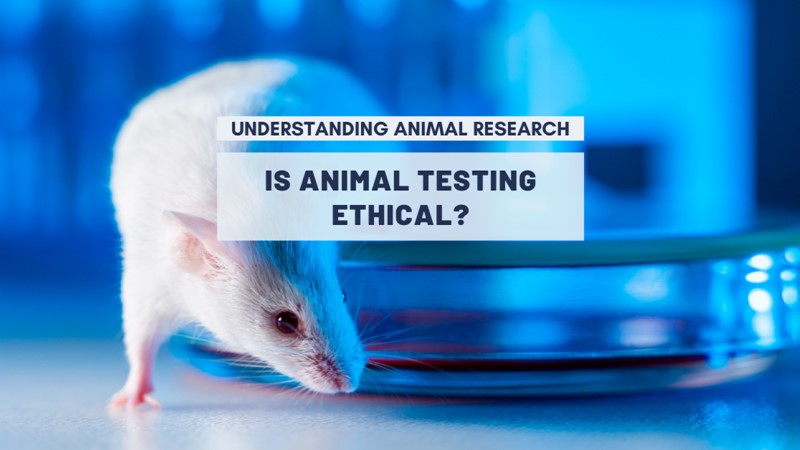 Cosmetics industry brands animal testing banned in Canada