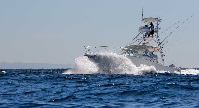 Why Sportfishing in Southern Baja Is Paradise