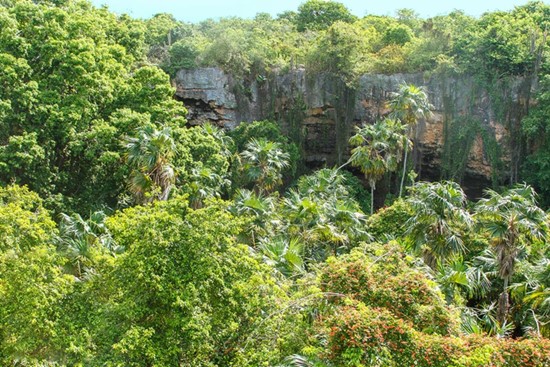 The Caves in Barbuda