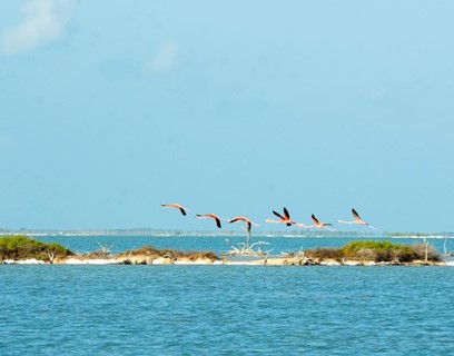 Inaugua photos, courtesy of Bahamas Ministry of Tourism, Investments & Aviation
