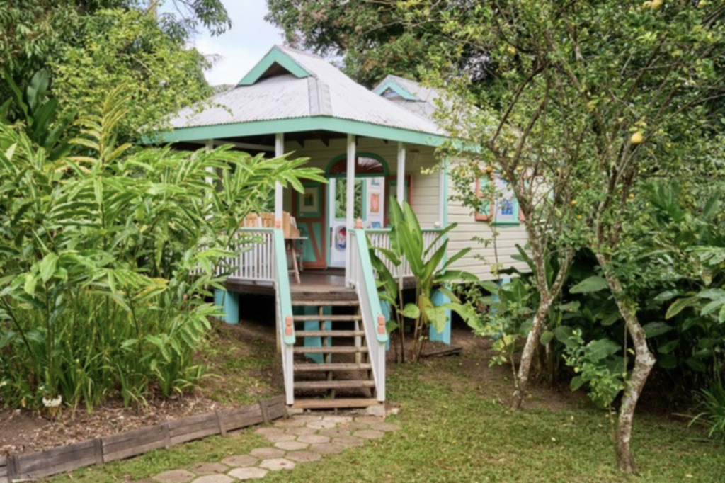 Fig Tree Studio Art Gallery, Antigua